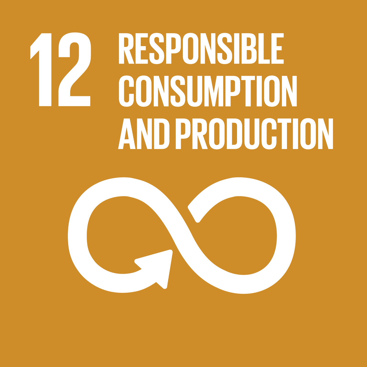 Sustainable Development Goals 12