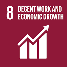 Sustainable Development Goals 8